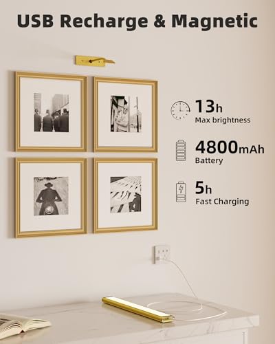 EZVALO Picture Light for Wall, 4800mAh Rechargeable Wireless Remote Lights, 16'' Dimmable Magnetic LED Art Painting Light with 3 Color Temps, Display for Gallery, Living Room, Bedroom, Hallway (Gold)