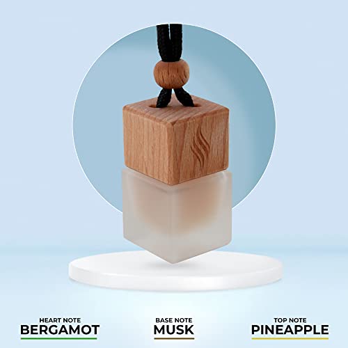 Aventos Inspired Car Air Freshener For Men - Strong Aventos Car Diffuser With Real Essential Oil Aromatherapy - Car Perfume Scent Air Purifier Bliss #TOP4