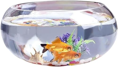 金魚 ガラス 水槽」の人気商品一覧 | 安い商品を通販サイトから探す