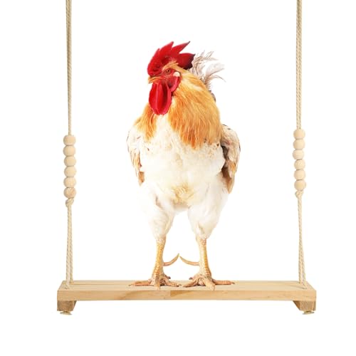 Image of NQEUEPN Chicken Swing Toy, Wooden Hen Swing Hanging Chicken Perch Ladder Swing Wood Stand Decorative Chicken Coop Accessories Toys Supplies for Rooster Chicken Owners & Lovers, Medium