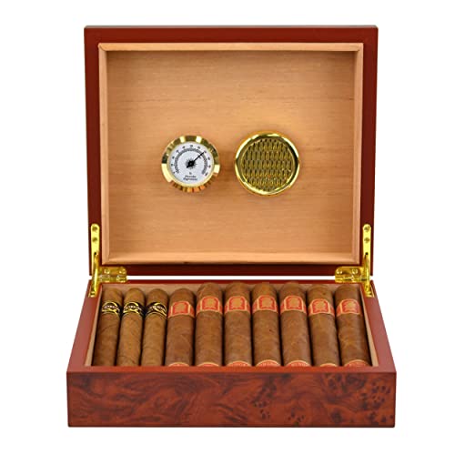 10 Best Cigar Humidors Reviewed & Buyer's Guide Teach Me Cigars