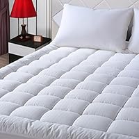 Algopix Similar Product 19 - EASELAND Queen Size Mattress Pad Pillow