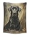 CAPITUNEISKINEPA Fila Brasileiro Dog Blanket Gifts Cool Thin Blanket Small Blankets 30