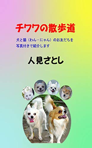 Chihuahua walking path: I introduce dogs and cats friends with