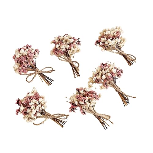 Ramo de flores secas artificiales Babys Breath con tallos 9cm miniatura 1