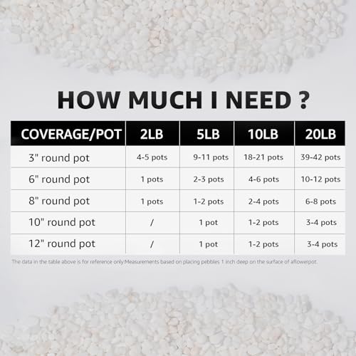 Image of 5lbs Natural Gravel Pebbles for Succulents and Cacti, 1 /5 Inch Decorative River Stones - Perfect for Vases, Aquariums, Terrariums, and Outdoor Gardening, Mixed Colors (White, 20 Pounds)