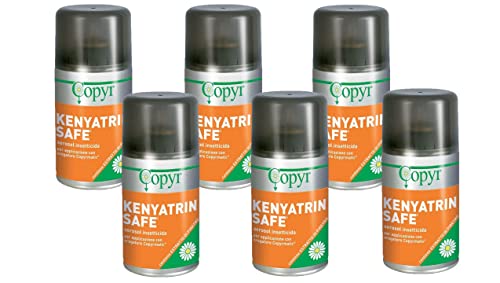 Copyr Kenyatrin Safe - Insetticida Antizanzare, Mosche e Insetti Volanti, 6 Bombole 250ml, Piretro Insetticida Biologico Repellente Zanzare Professionale Casa, Ho.Re.Ca., Settore Pubblico, Sanitario
