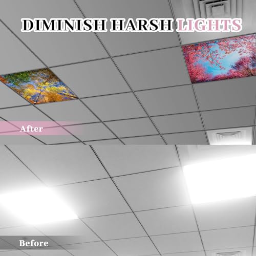 VIHOSE 4 Pack Fluorescent Light Covers Magnetic for Ceiling Lights 2 x 2 ft Office Classroom Light Covers Filters for School Home Hospital Decorations, 4 Styles(Season)