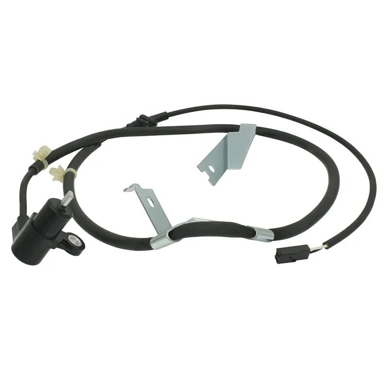 専用商品 Webike | AMR エーエムアール AMR グラフィックデカール