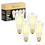 Non|dimmable 880lm 5.5w | St64 Clear 2700k