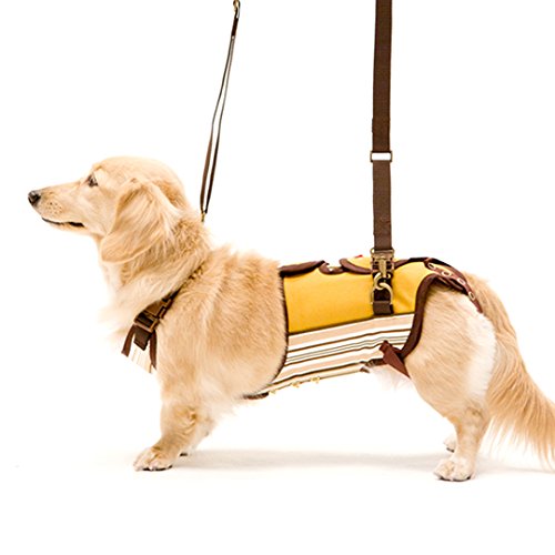 犬 サポーターの人気商品 通販 価格比較 価格 Com