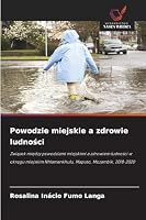 Powodzie miejskie a zdrowie ludnosci 6209165850 Book Cover