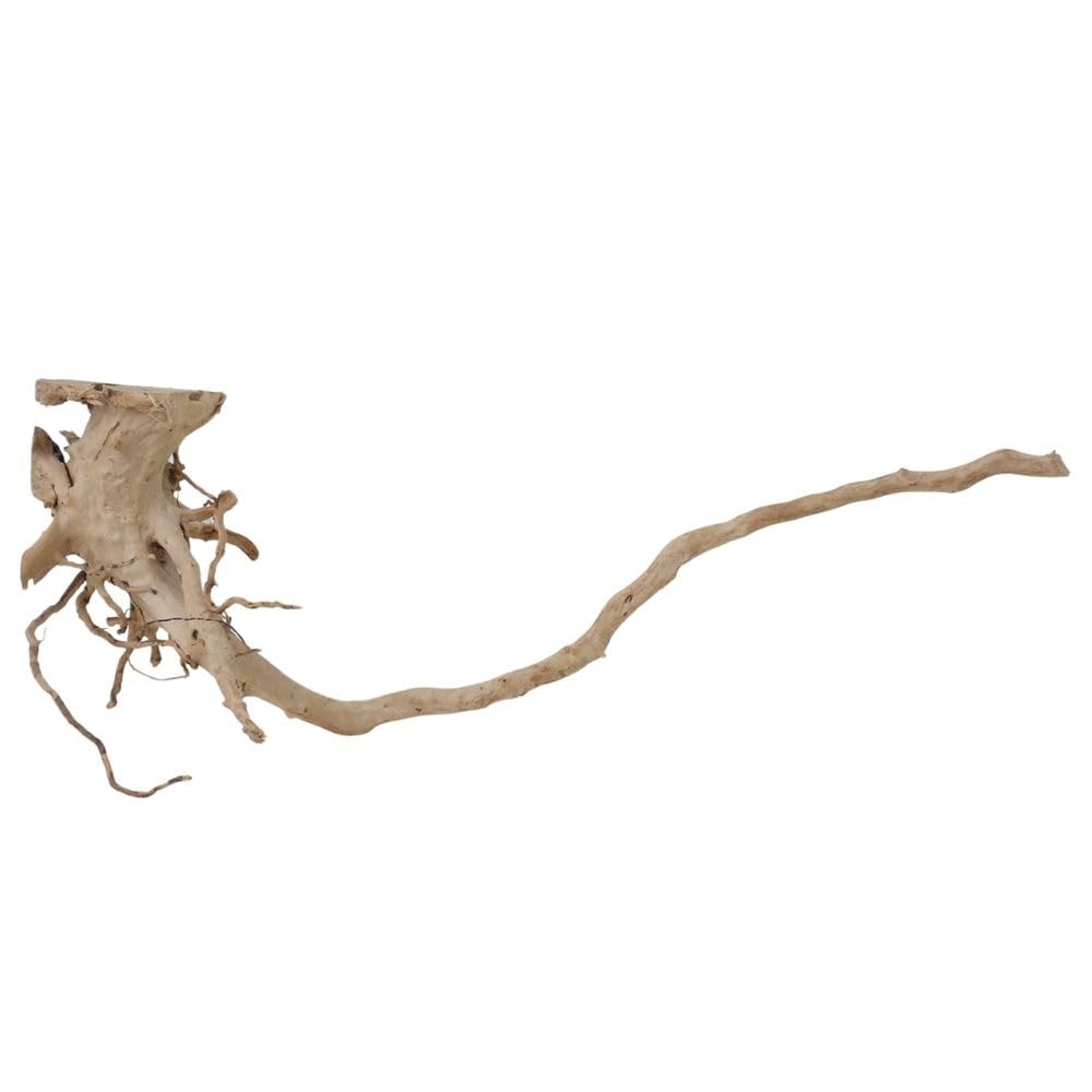 AquaOne Raíz de Moorkien XL nº 1654 para acuario, raíz de madera, decoración de paisaje, moorkien, madera roja, manglar, musgo, madera natural
