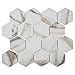 Apollo Tile Recycled Glass 2" Hexagon Mosaic Tile - 10.2" x 11.7" Sheet for Kitchen, Bathroom or Flooring (10-Pack)