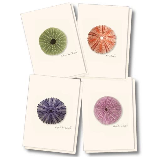 Image of Earth Sky + Water - Sea Urchin Assortment Notecard Set - 8 Blank Cards with Envelopes (2 each of 4 styles)