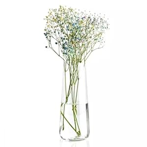 Krosno Flower Vase, 9,5 x 3,9 in, Pure Collection, Premium Quality Flower Vase, Rustic Home Decor, Modern Farmhouse, Durable Glass, Dishwasher Safe, Made in Europe