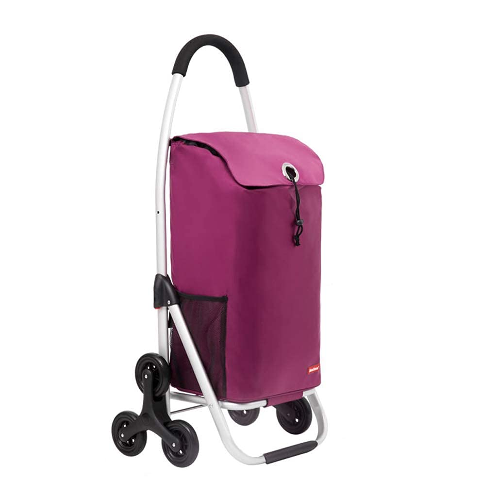 Multifuncional de Almacenamiento de la Carretilla, Carros de Compras Centro Comercial de la Tercera Edad de Viaje Plegable de Equipaje de Aluminio Portable Ancianos Paseando Gran Capacidad Assi