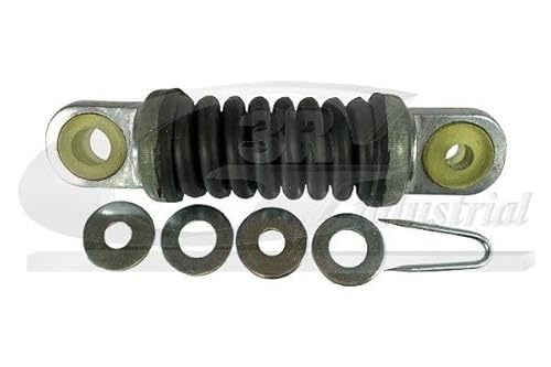 3RG 10238 Tenditore della cinghia, poli Cinghia V