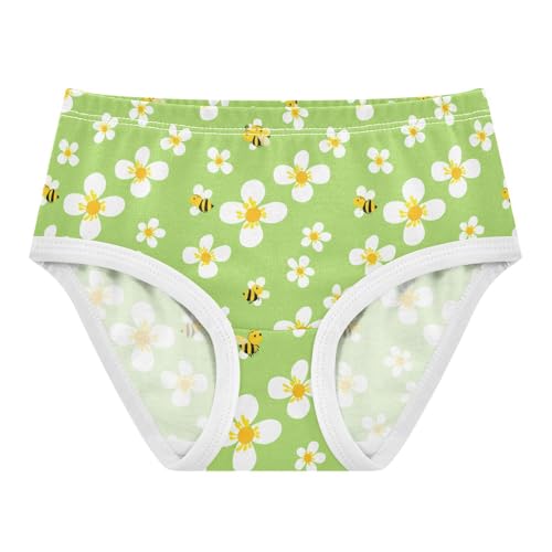 Flowers Floral Bee Green Toddler Girls's Underwear 2T 2301881