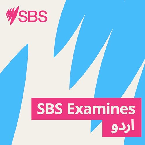 『'It's a fraught experience just going out in public': The everyday toll of transphobia - SBS Examines:عوامی مقامات پر جانا بھی ایک خطرناک تجربہ ہوتا ہے’: ٹرانس فوبیا کا روزمرہ کا اثر』のカバーアート