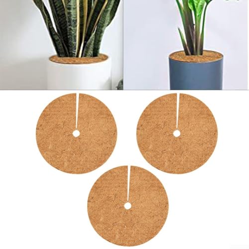 Thick Coconut Mulching Discs, Natural Plant for PROTECTION, Maintains Soil Temperature (46cm)