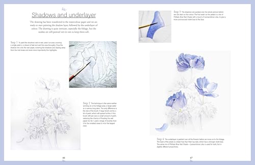 Botanical Watercolours through the Seasons: An all-year-round guide to painting flowers and plants - Image 11