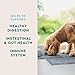 VetIQ Probiotic Supplement for Dogs, Digestive Support for Dogs, Nourishes Gut Bacteria and Supports Bowel Function, Hickory Smoke Flavor, Made in The USA, 60 Count
