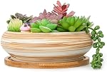ARTKETTY Succulent Pots - Ceramic Bonsai Pots with Drainage Tray, 7.3 Inch Large Plant Pots Shallow Succulent Planters for Indoor Plants Decorative Cactus Flower Planter Bowl