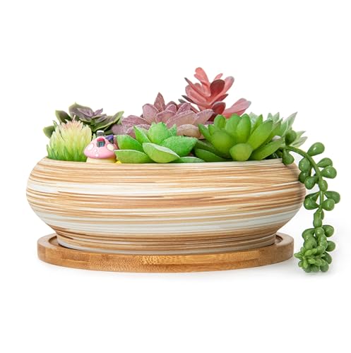 ARTKETTY Succulent Pots - Ceramic Bonsai Pots with Drainage ...