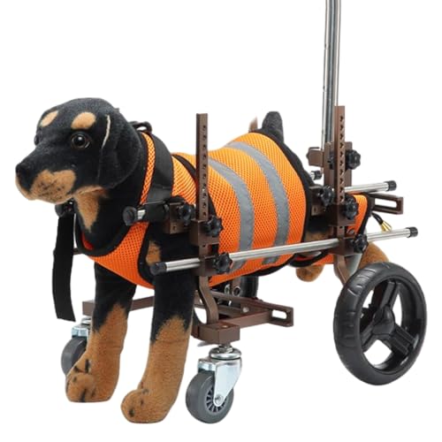 Fauteuil pour chien handicapé : rééducation pattes arrière et soutien 4 roues chiot et chat