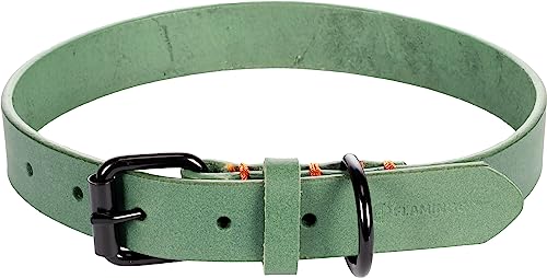 Flamingo Dog Collar Leano Green L 43-53cm 25mm - Image 2