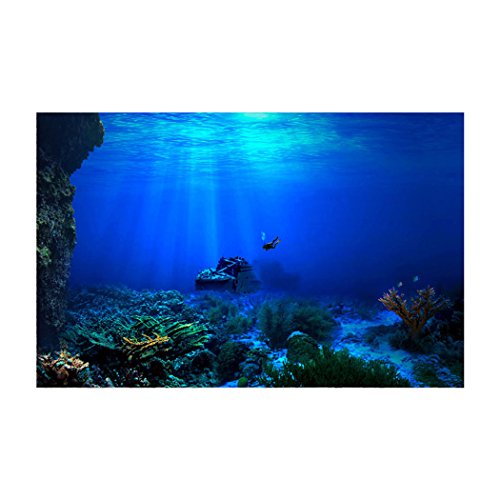 Libaoge Fish Tank Background Underwater World Sunken Ship Aquarium Backdrop Sticker Wallpaper Decoration