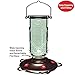More Birds Vintage Hummingbird Feeder, Antique Glass Hummingbird Feeders for Outdoors, 5 Feeding Stations, 20 Ounces