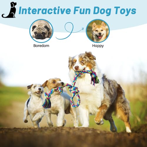 Aitmexcn Robustes Hundespielzeug-Seil – 95 cm Baumwoll-Tau mit 5 Knoten, Großes Kauspielzeug für Große Hunde zur Zahnreinigung und Spielspaß