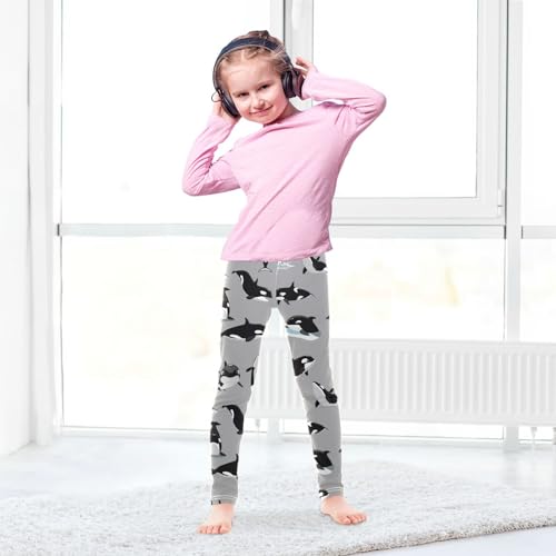 Cartoon Orca Killer Whale Girl's Leggings for Kids Toddler Girls Sweatpants Legging Pants Ballet Tights 4T4
