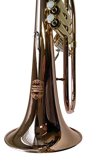 SYMPHONIE WESTERWALD® Flügelhorn, Konzertflügelhorn in B, Goldmessing, Monelventile, Perinetventile