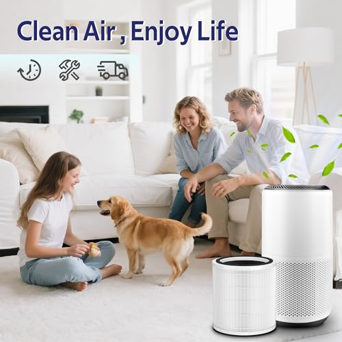 Filtre Core 400S contre odeurs et poils animaux pack double rechange