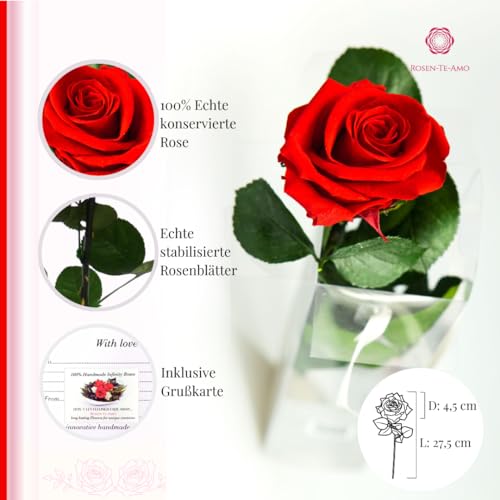 Rosen-Te-Amo | Infinity Rose rot am Stiel - Rosenduft |Echte Rosen Geburtstagsgeschenk für Frauen, Ewige Rose in Geschenkbox || Konservierte Blume zum Weihnachten, Valentinstag, Mama, Deko Geschenk