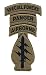 Special Forces OCP Patch with Airborne, Ranger, and Special Forces Tabs and Hook Fastener