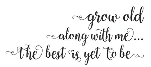 Grow Old Along With Me Bedroom Wall Saying Vinyl Decal Stickers 23X10-Inch Black #TOP1