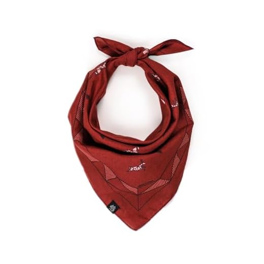 The Lone Ranger Costume Red Cowboy Bandana