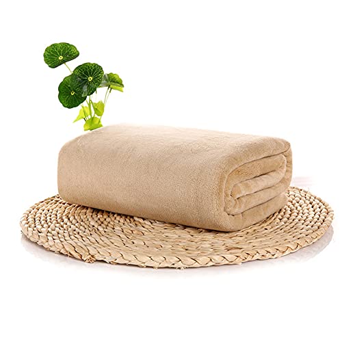Smilsiny Serviette Microfibre,Toucher Plume Serviette,Serviette en Velours Double Face,Absorbant et Lavable en Machine Serviette,Convient pour Salle de Bain(100x200cm,Bleu Ciel) Cover