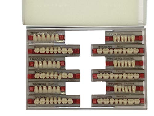 Dental Synthetic Resin Tooth Denture 84Pcs 3 Sets False Teeth for Halloween Horror Teeth SIZE:22 A3