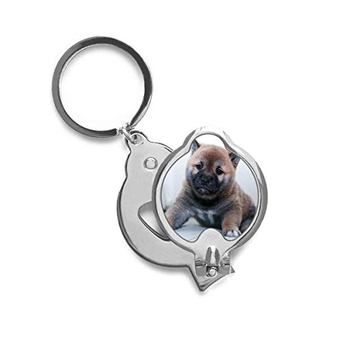 Coupe-ongles chien et animaux de compagnie pour couper les griffes proprement