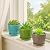 Elsjoy Set of 6 Ceramic Succulents Planter with Drainage Tray, 4.3 Inch Decorative Flower Pots Saucer Small Planter Pot for House Plants, Indoor Outdoor Plants, 6 Colors