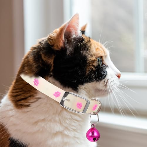 Collar antipérdida gato silicona transpirable y collar fluorescente perro 4
