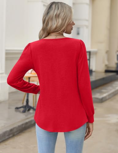 Image of Zeagoo Womens Long Sleeve Tops Fall V Neck Shirt Casual Pleated Tunic Top