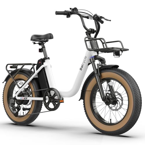 1500W Fat Tire Step-Through Ebike