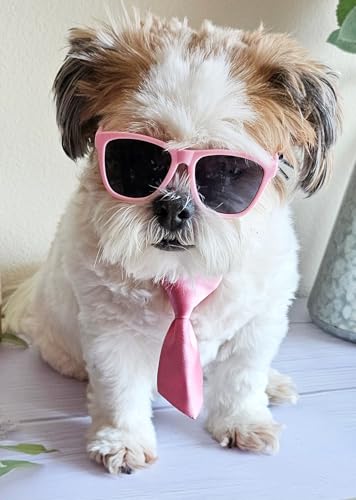 Set de Disfraz Retro para Perros Pequeños con Lentes y Corbata miniatura 5