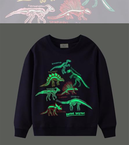 Boys Sweatshirts Casual Sweatshirts Cotton Sweatshirts Long Sleeve T-shirts Crew Neck Cartoon Tops for Boys-4564